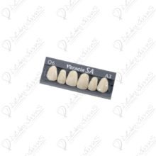 Shofu-Veracia-Front-Teeth-Up-6pcs